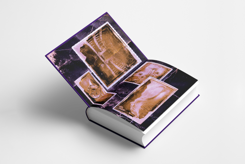 RODZINA DELANEYÓW – Daphne du Maurier